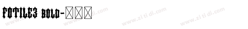 FOTILE3 bold字体转换